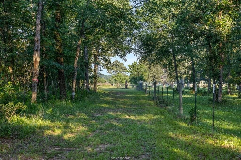 5 acres in Waller County featured view