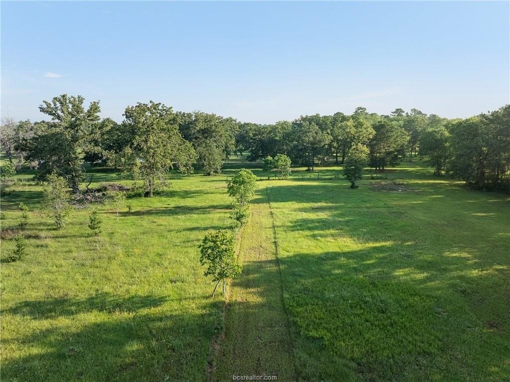 5 acres in Waller County - photo 13