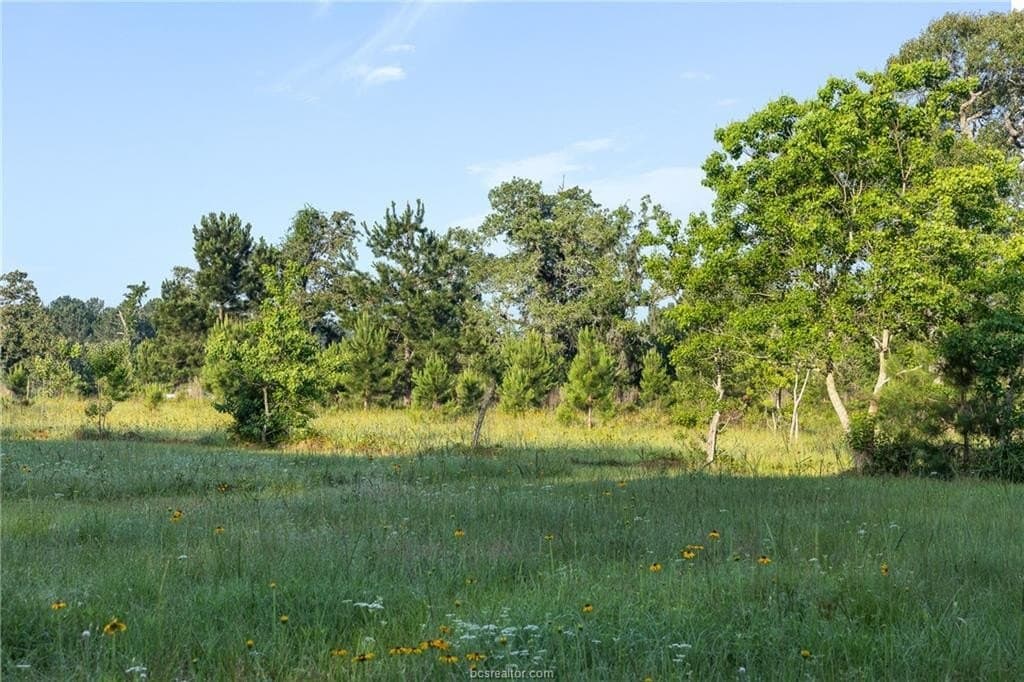 5 acres in Waller County - photo 7