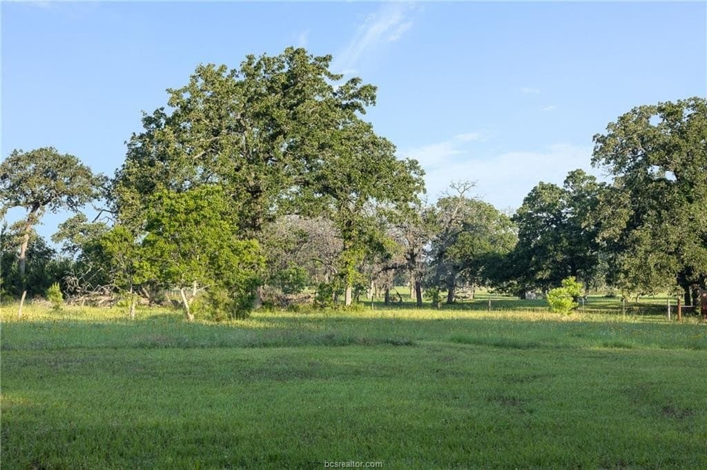 5 acres in Waller County - photo 12