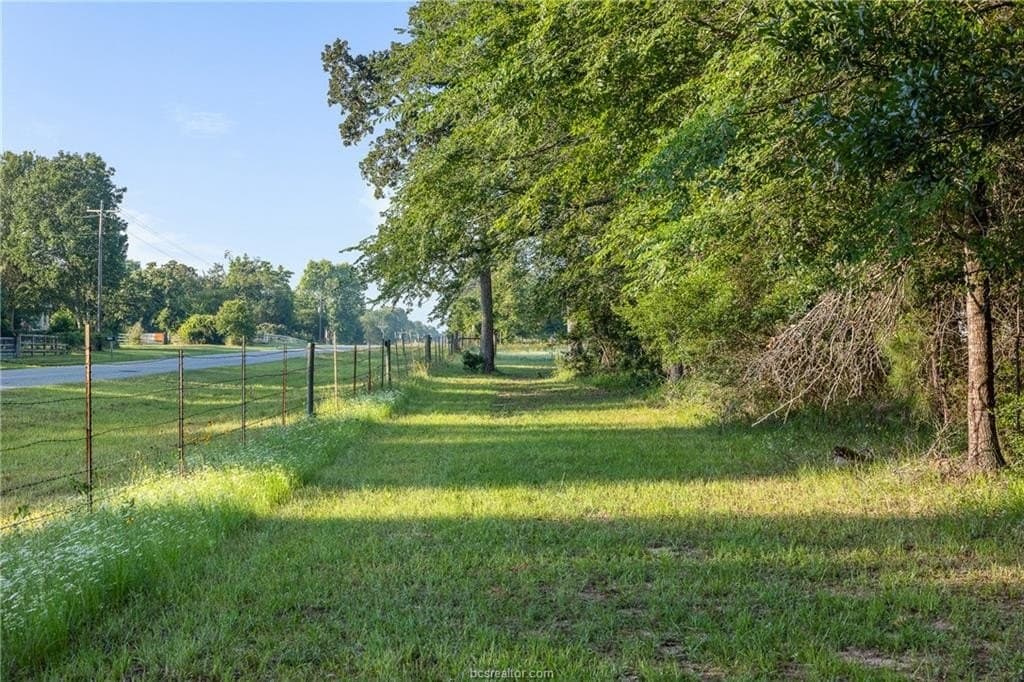 5 acres in Waller County gallery image 4