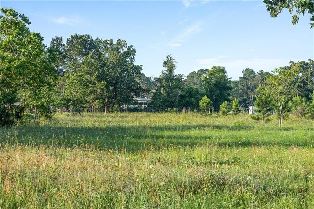 5 acres in Waller County - photo 9