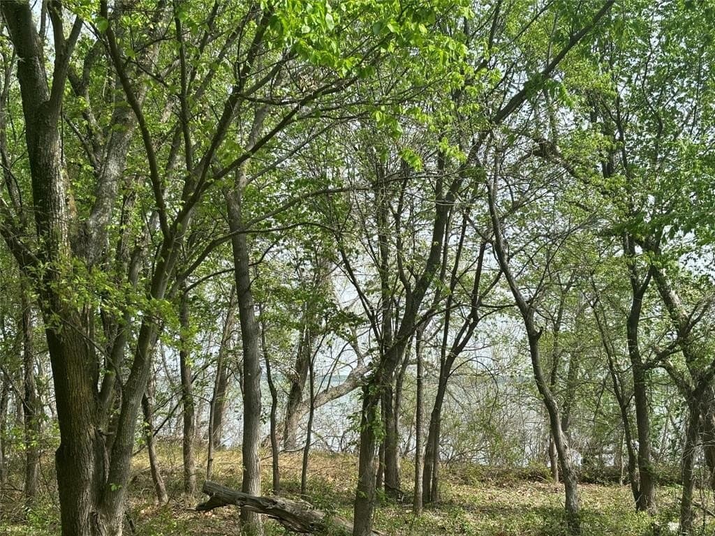 0.31 acres in Denton County gallery image 3