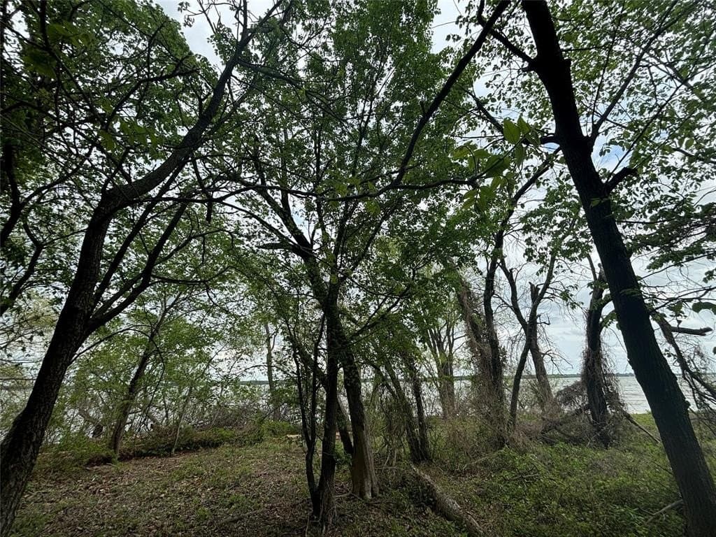 0.31 acres in Denton County gallery image 4