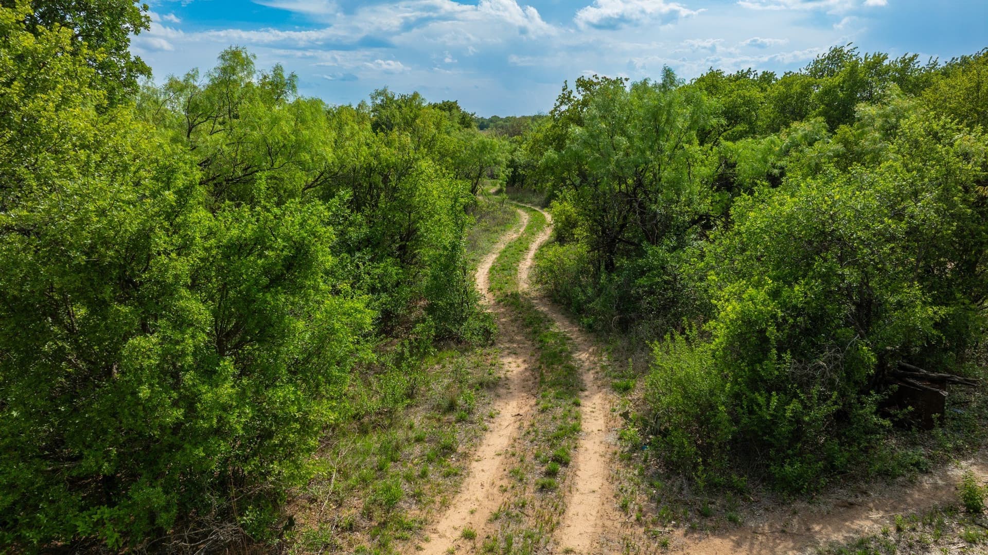 20.14 acres in Jones County - photo 38