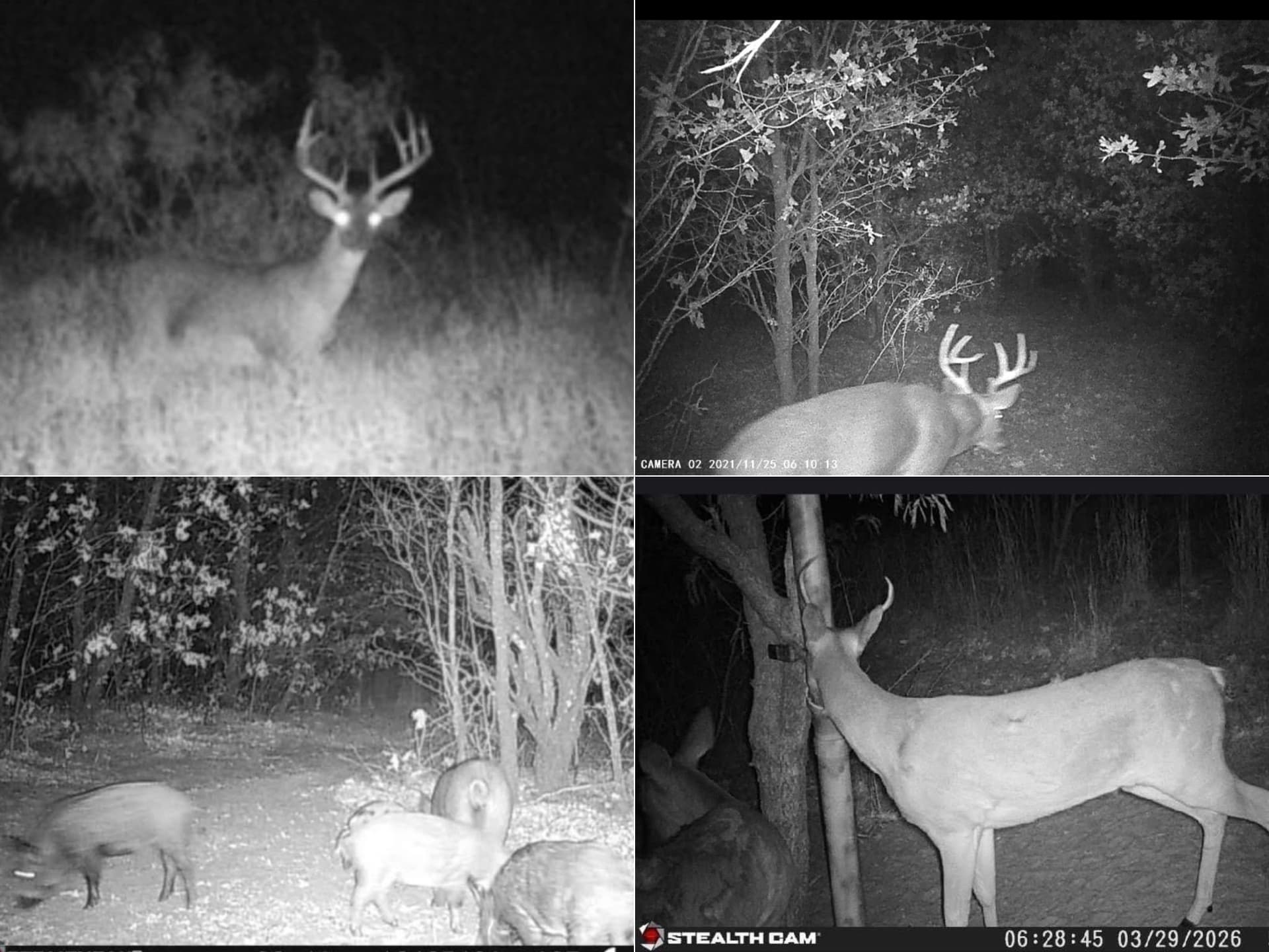 20.14 acres in Jones County - photo 39