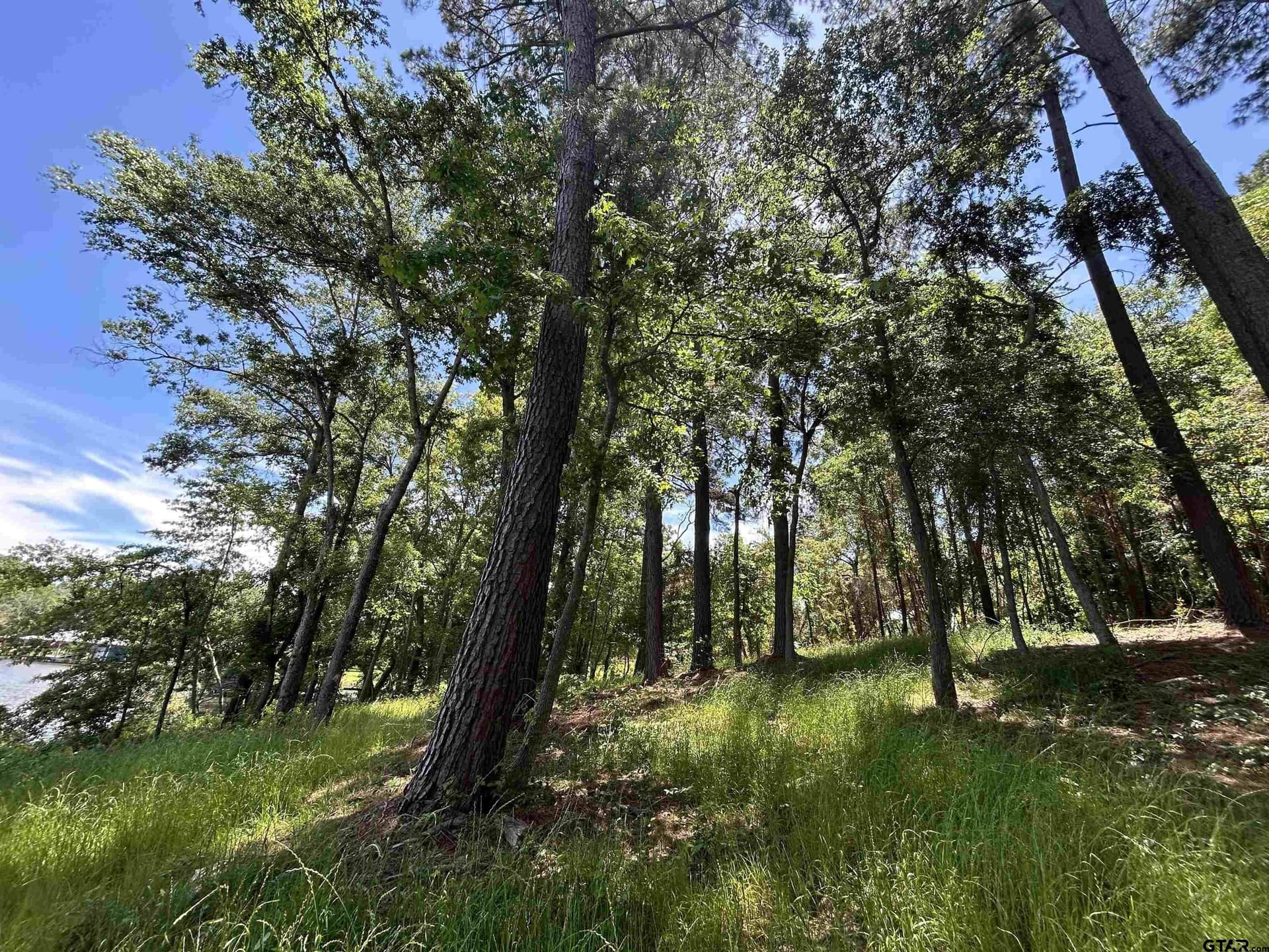 1.09 acres in Henderson County - photo 27