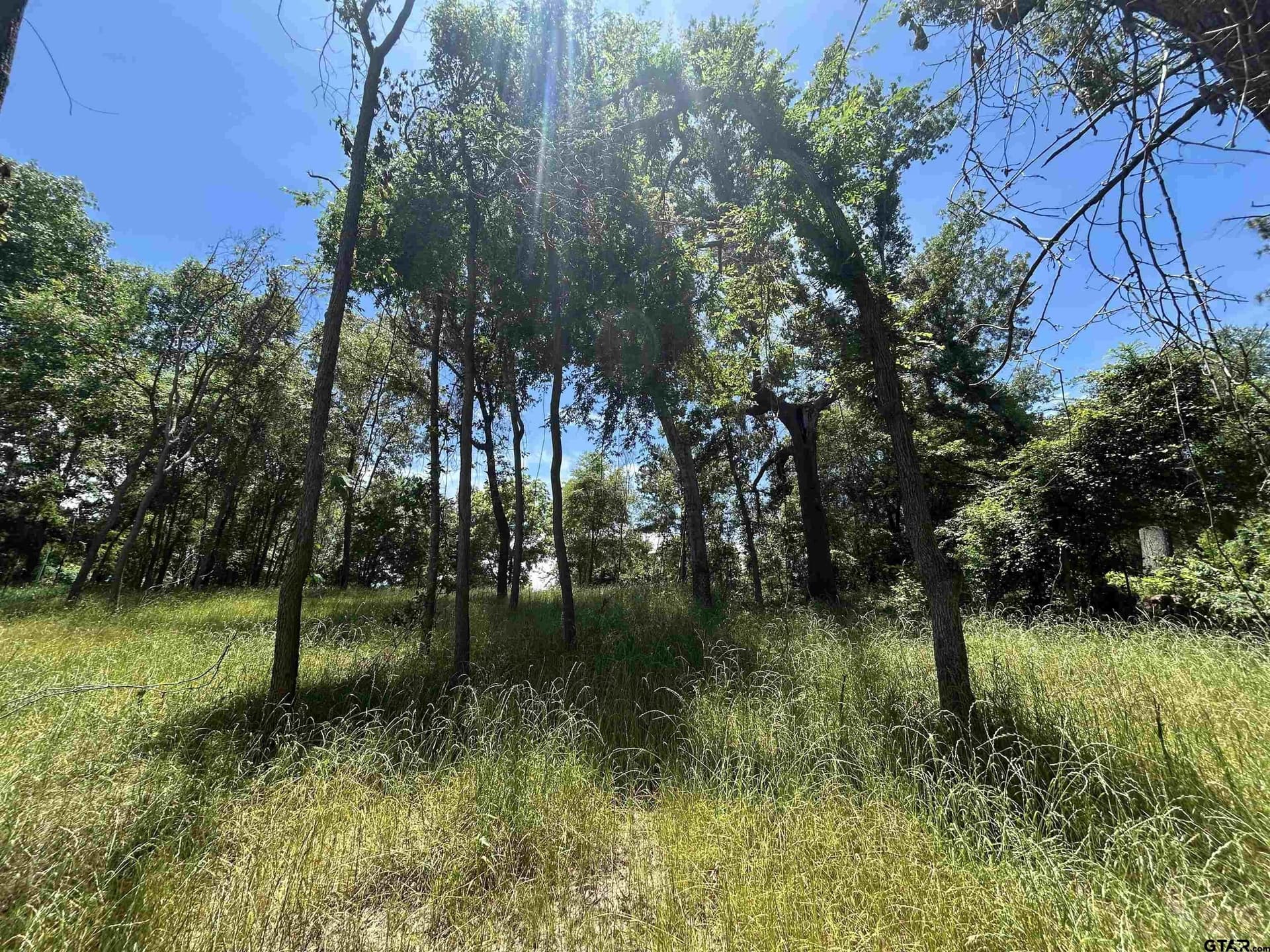 1.09 acres in Henderson County - photo 30