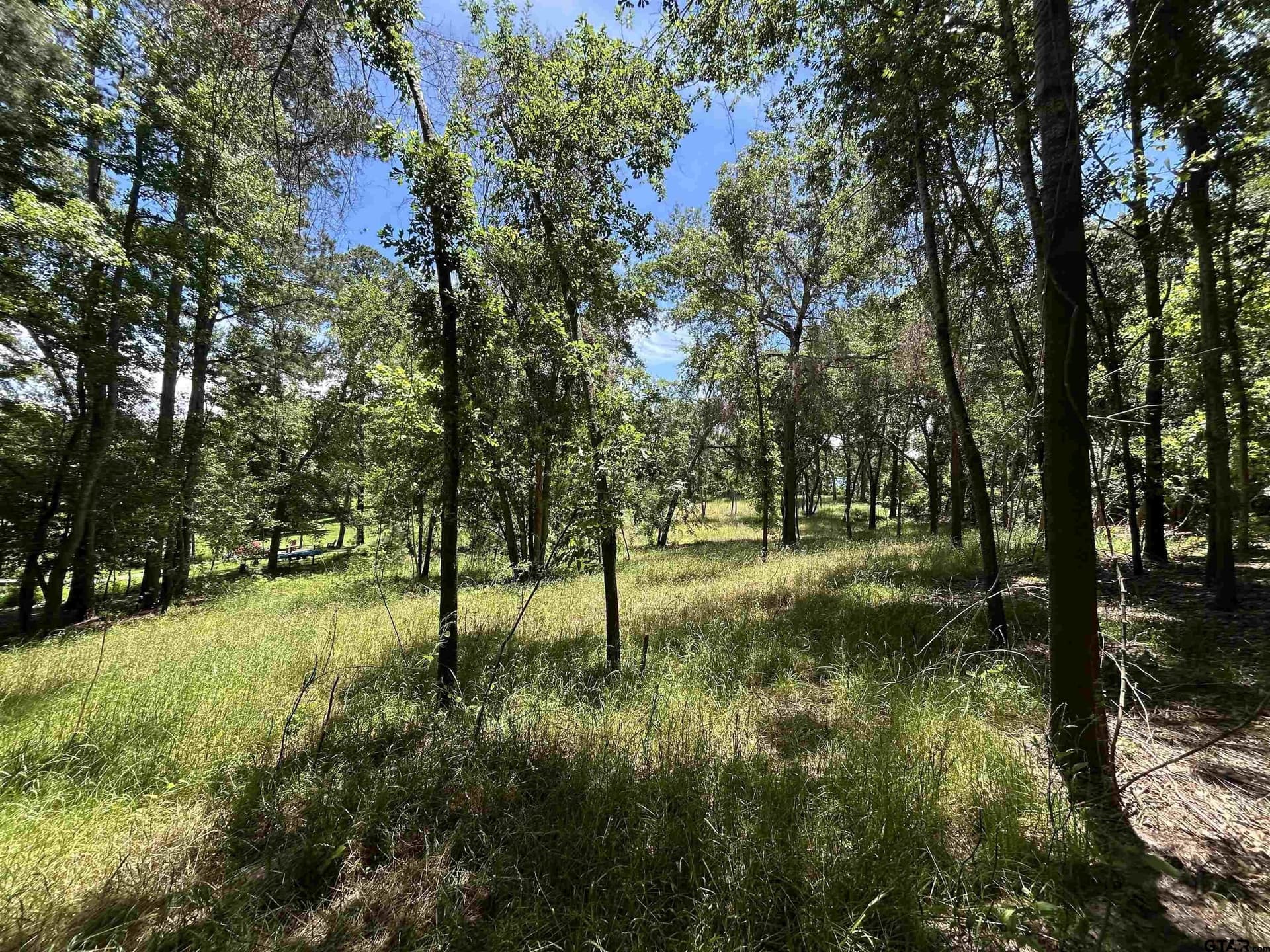 1.09 acres in Henderson County - photo 26