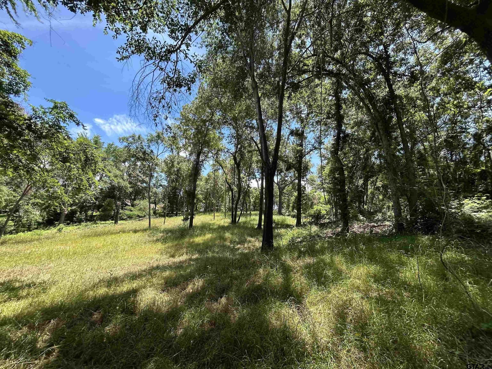 1.09 acres in Henderson County - photo 18