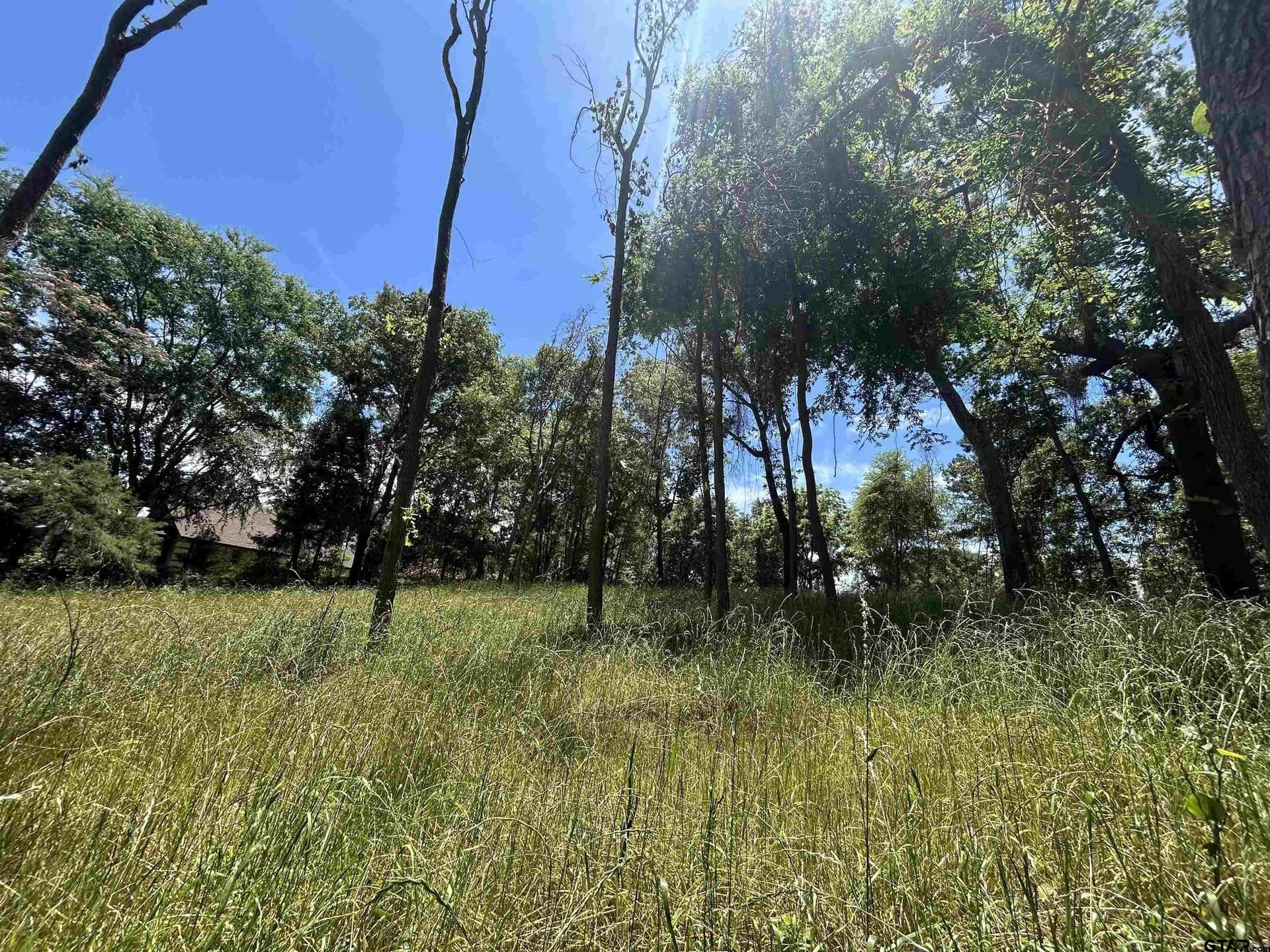 1.09 acres in Henderson County - photo 33
