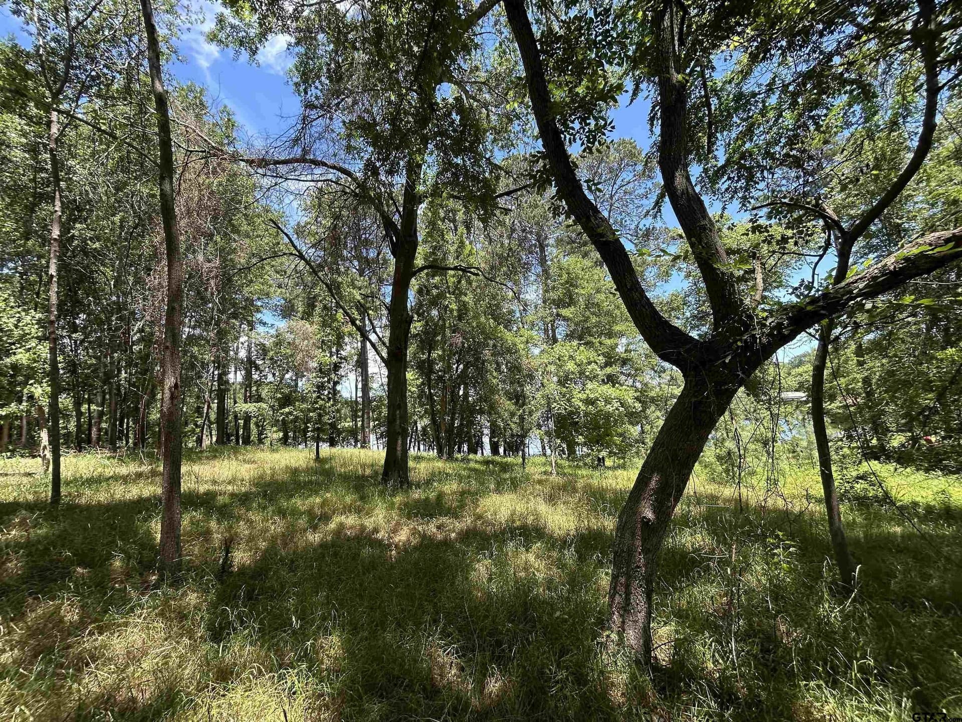 1.09 acres in Henderson County - photo 25