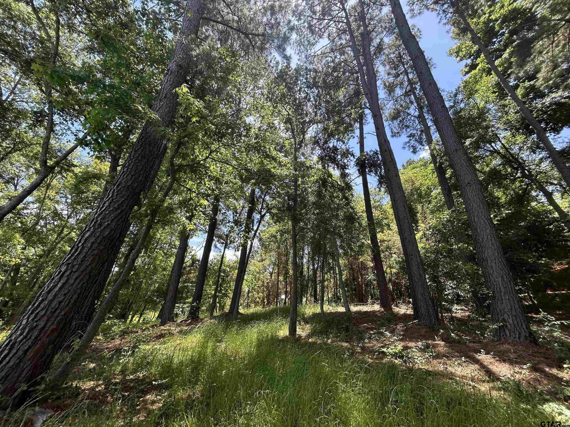 1.09 acres in Henderson County - photo 28
