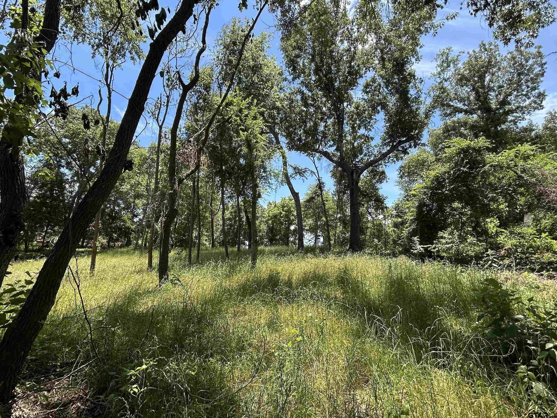 1.09 acres in Henderson County - photo 24