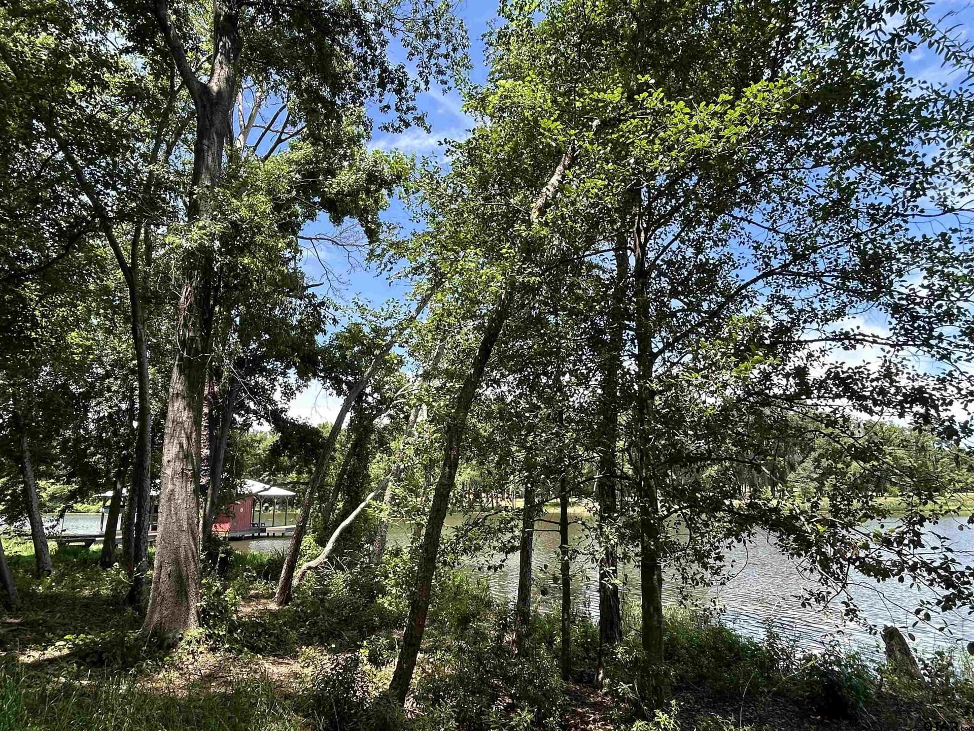 1.09 acres in Henderson County - photo 19