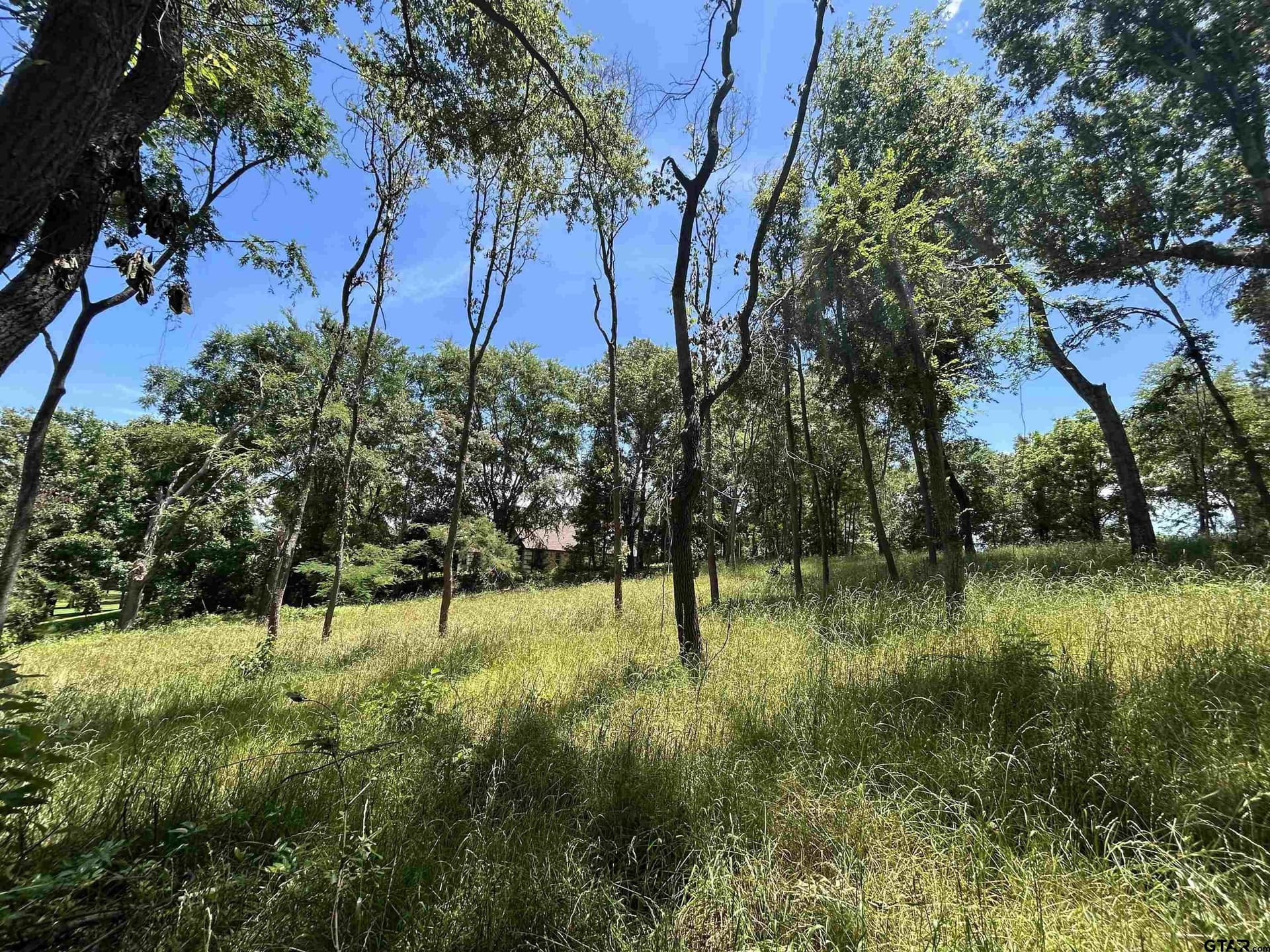 1.09 acres in Henderson County - photo 22