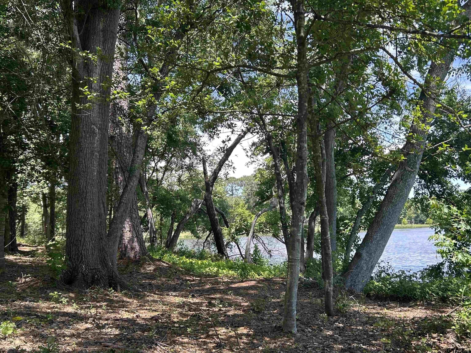1.09 acres in Henderson County - photo 38