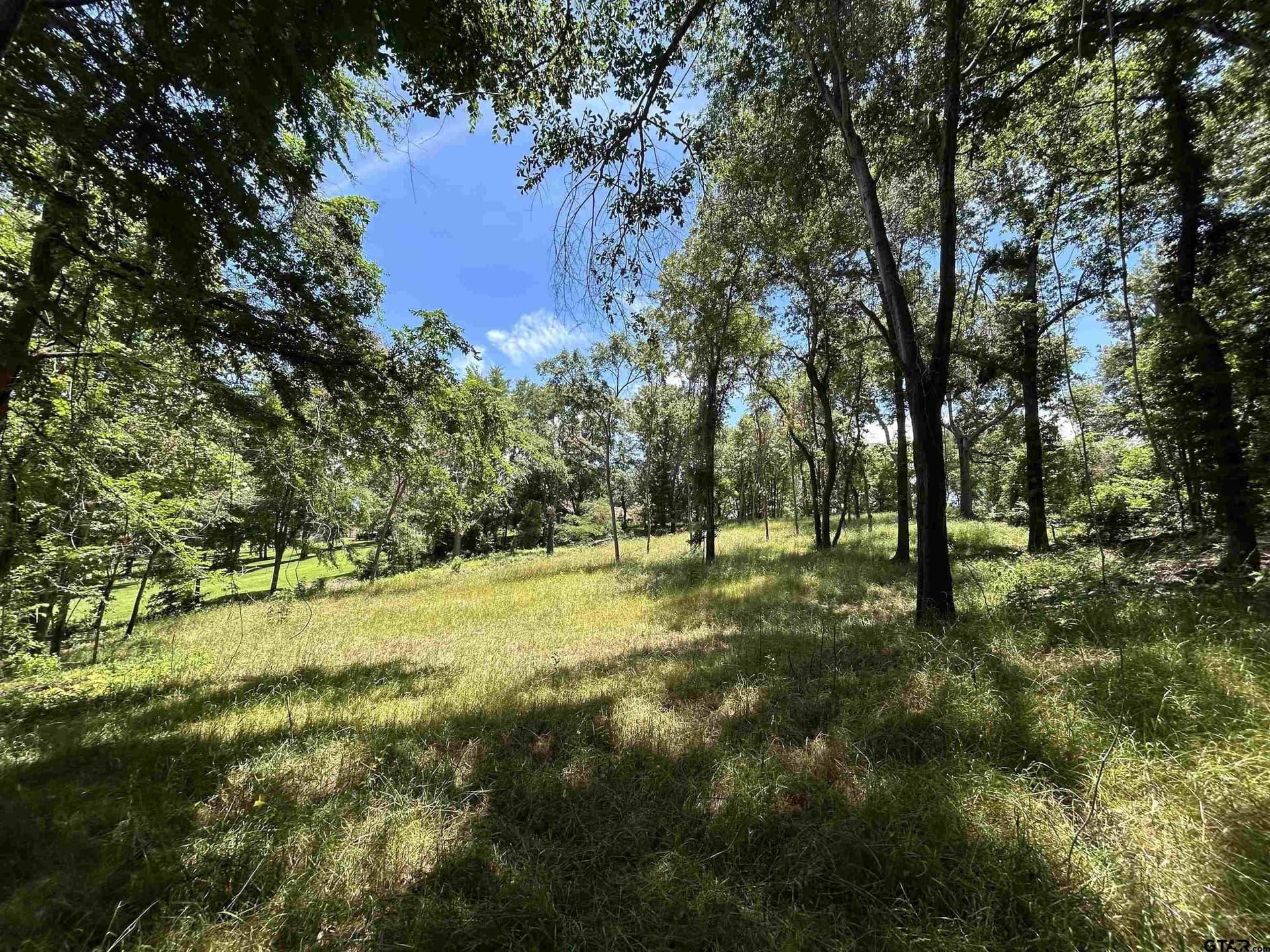 1.09 acres in Henderson County - photo 10
