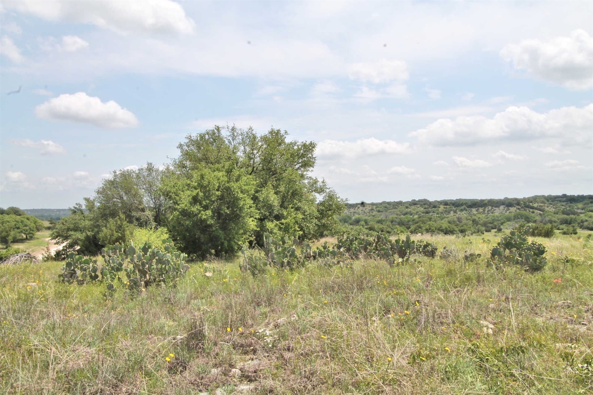 4.21 acres in Somervell County - photo 13