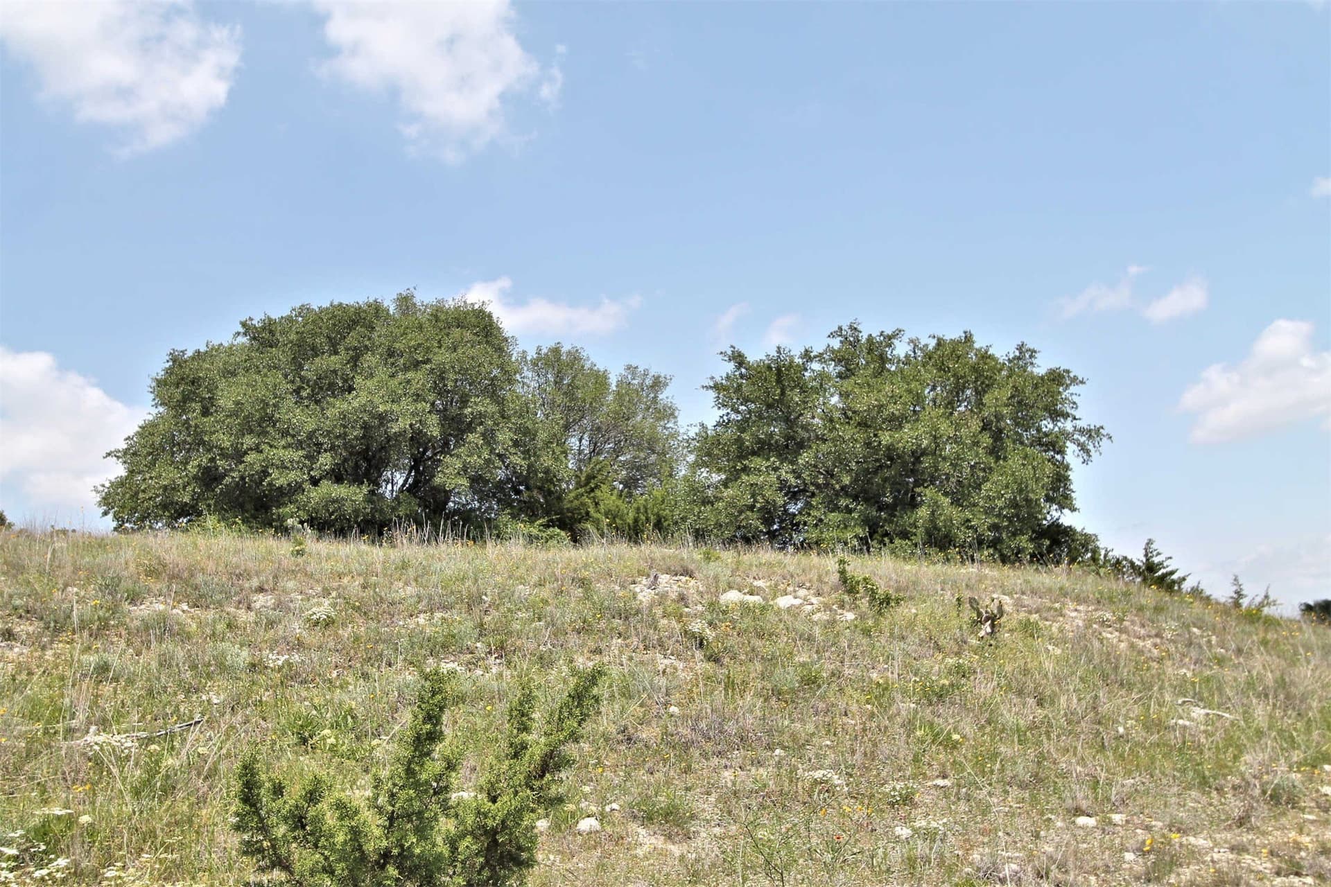 4.21 acres in Somervell County gallery image 2