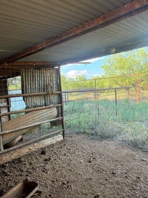 4 acres in Taylor County gallery image 3