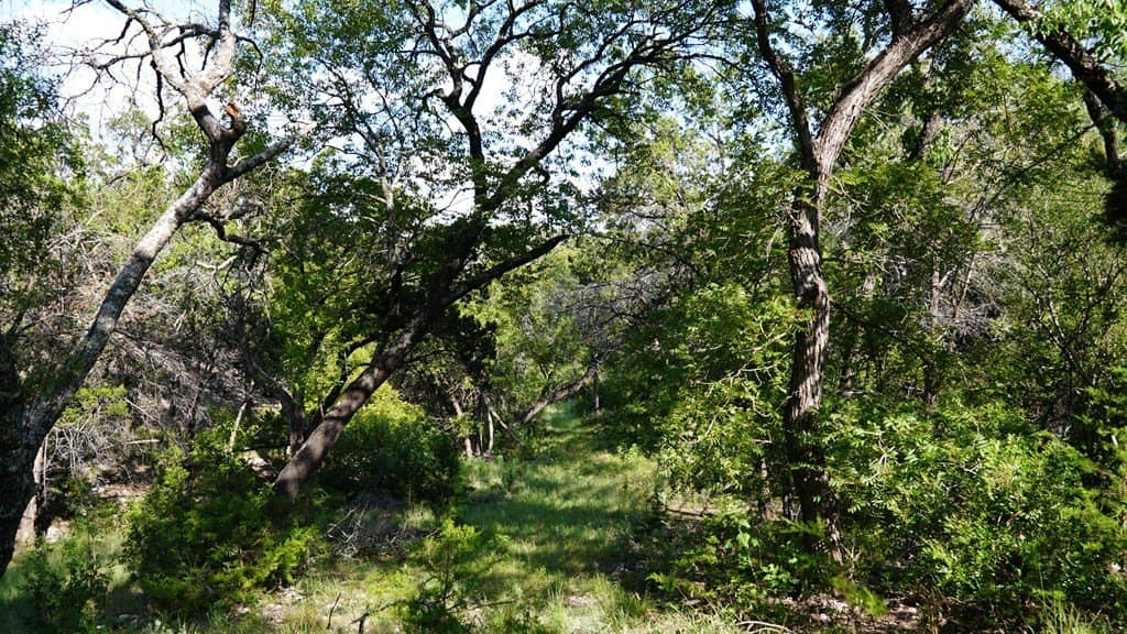 21.29 acres in Bandera County - photo 11