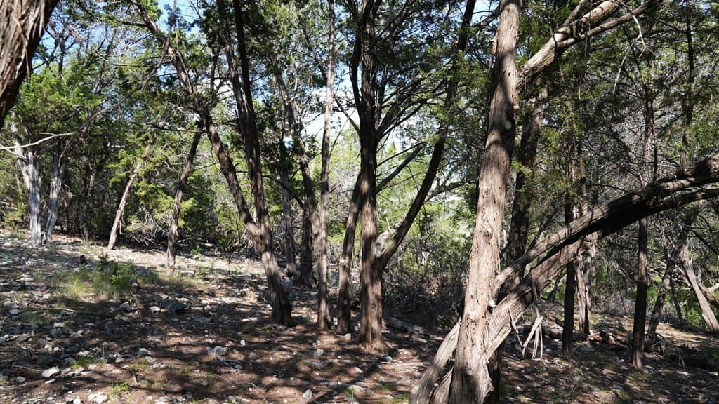 21.29 acres in Bandera County - photo 8