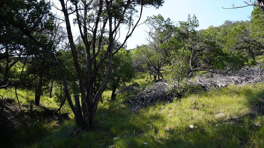 21.29 acres in Bandera County - photo 15