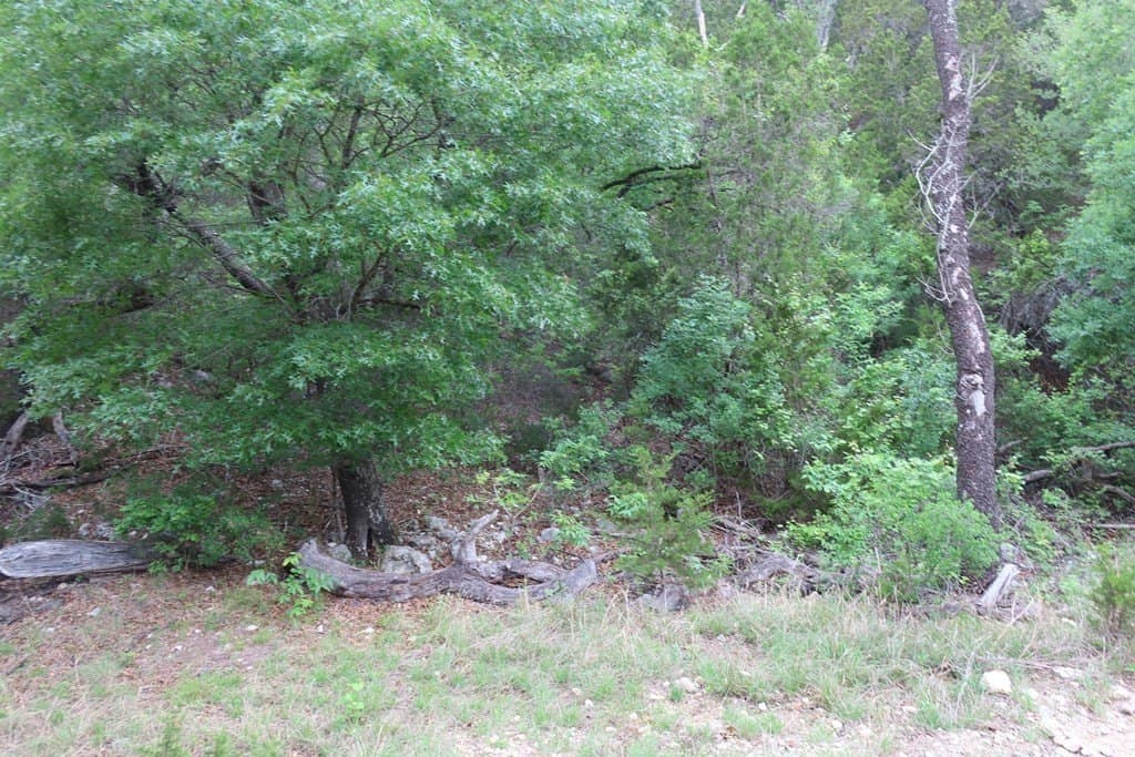 21.29 acres in Bandera County - photo 25