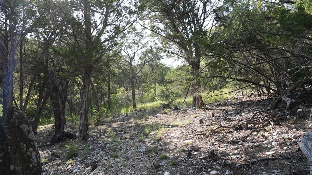 21.29 acres in Bandera County - photo 12