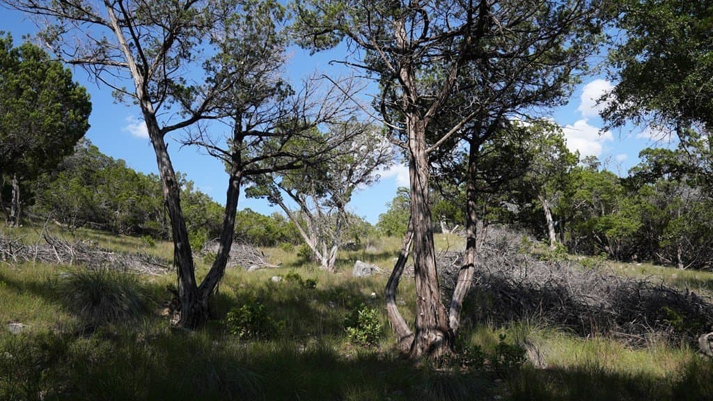21.29 acres in Bandera County - photo 13