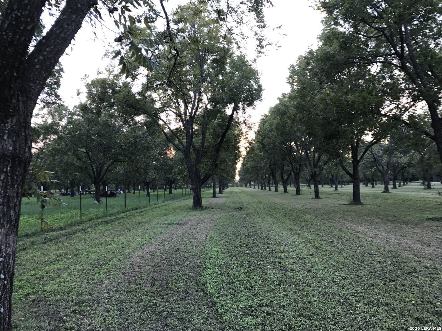 5.54 acres in Maverick County - photo 3