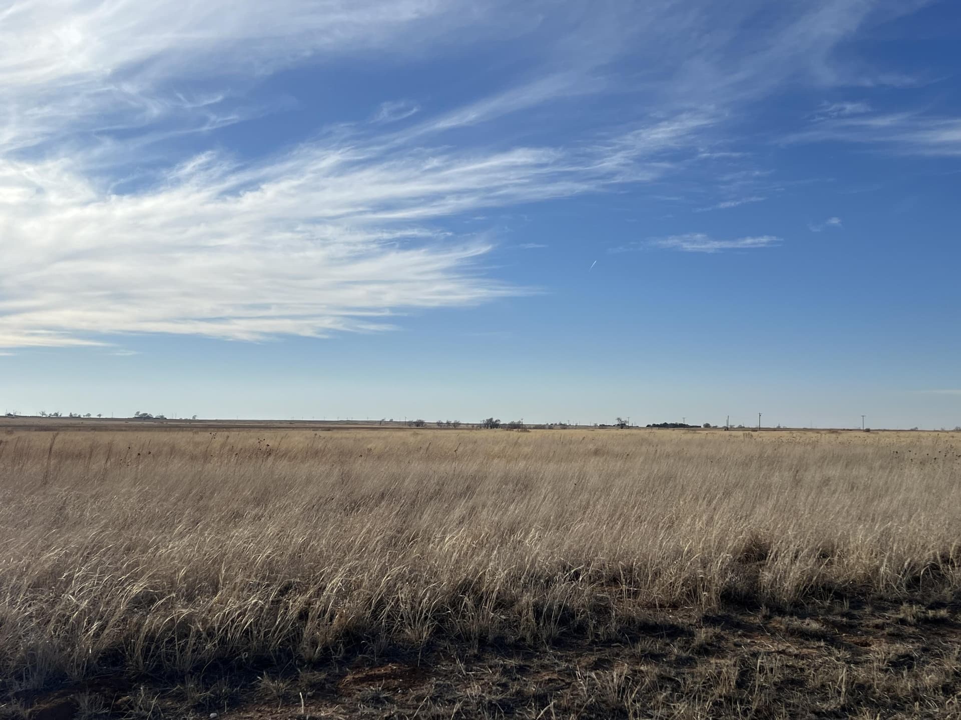 13.4 acres in Hockley County - photo 6