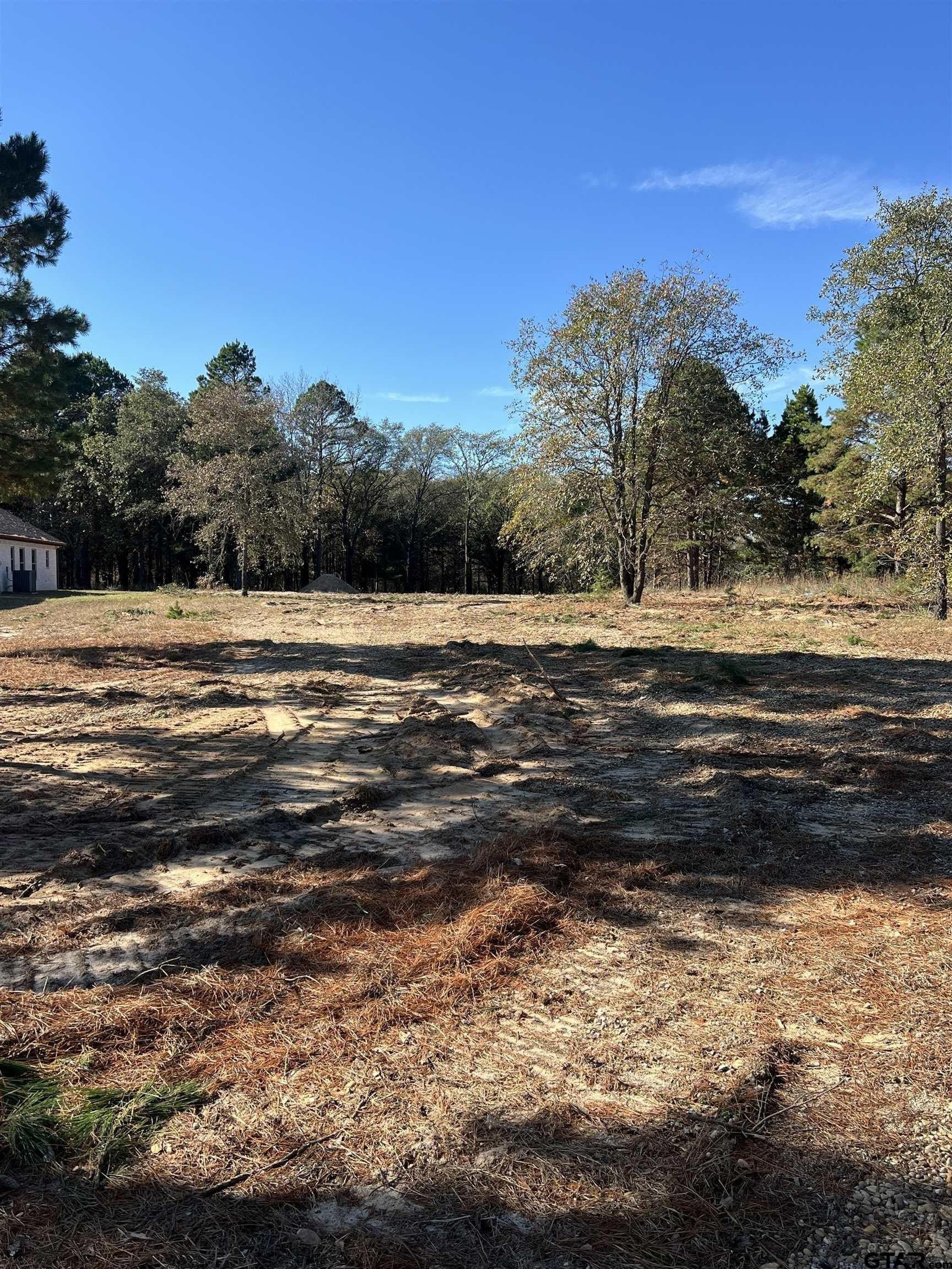 2.74 acres in Smith County gallery image 3