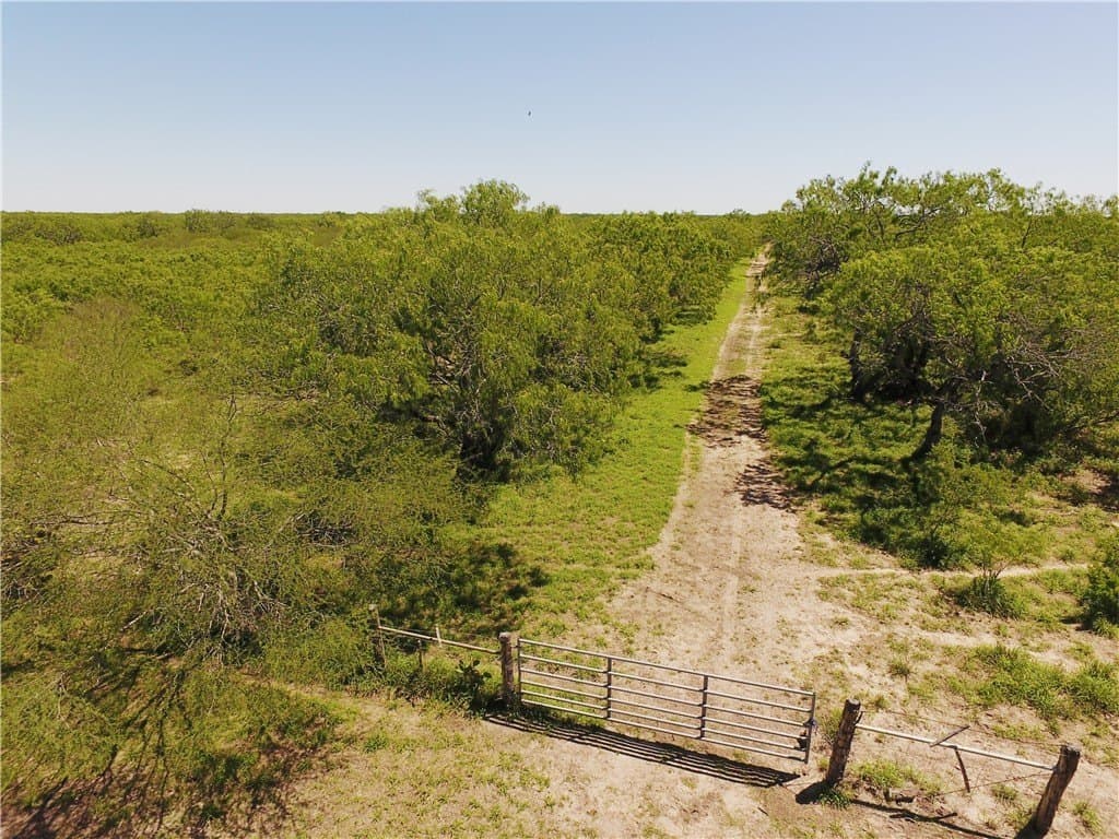 870 acres in Kleberg County gallery image 4