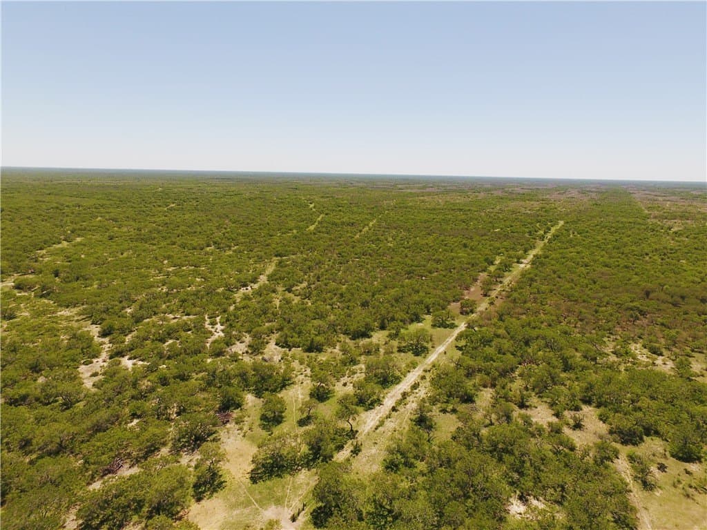 870 acres in Kleberg County featured view