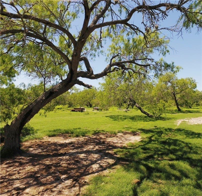 870 acres in Kleberg County