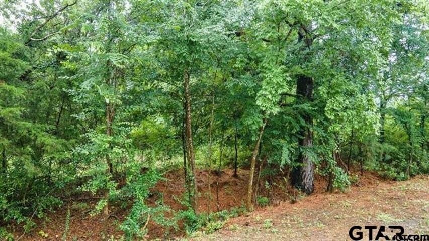 0.5 acres in Anderson County - photo 2