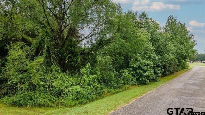 0.5 acres in Anderson County - photo 3