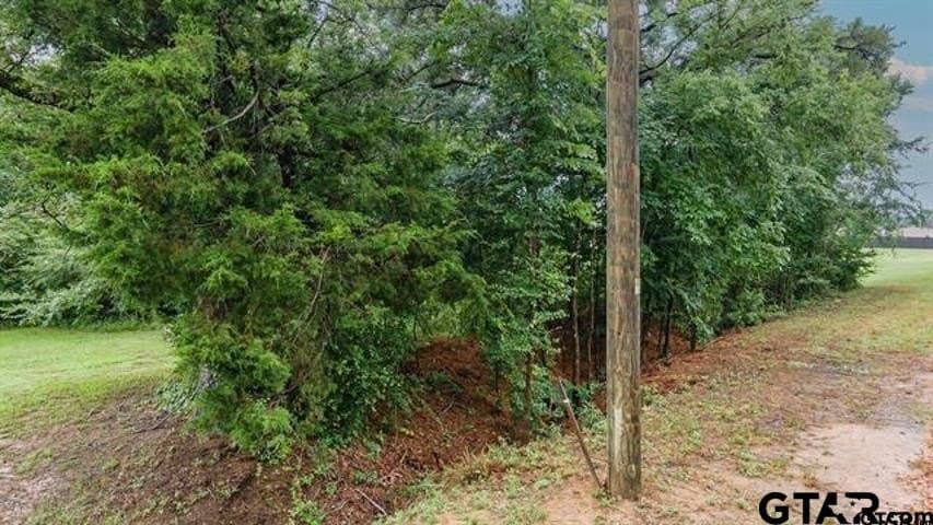 0.5 acres in Anderson County - photo 4