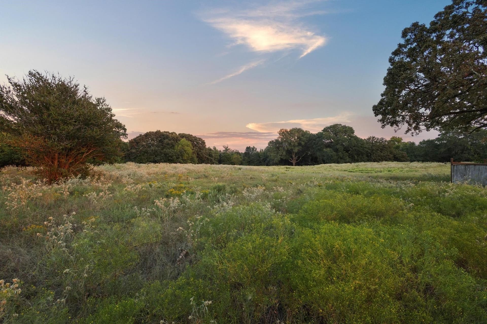9.67 acres in Fannin County - photo 8
