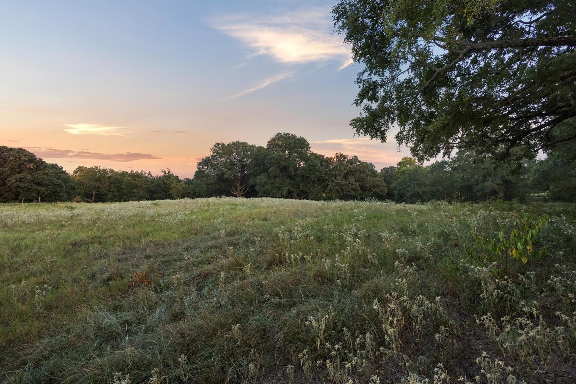 9.67 acres in Fannin County - photo 10