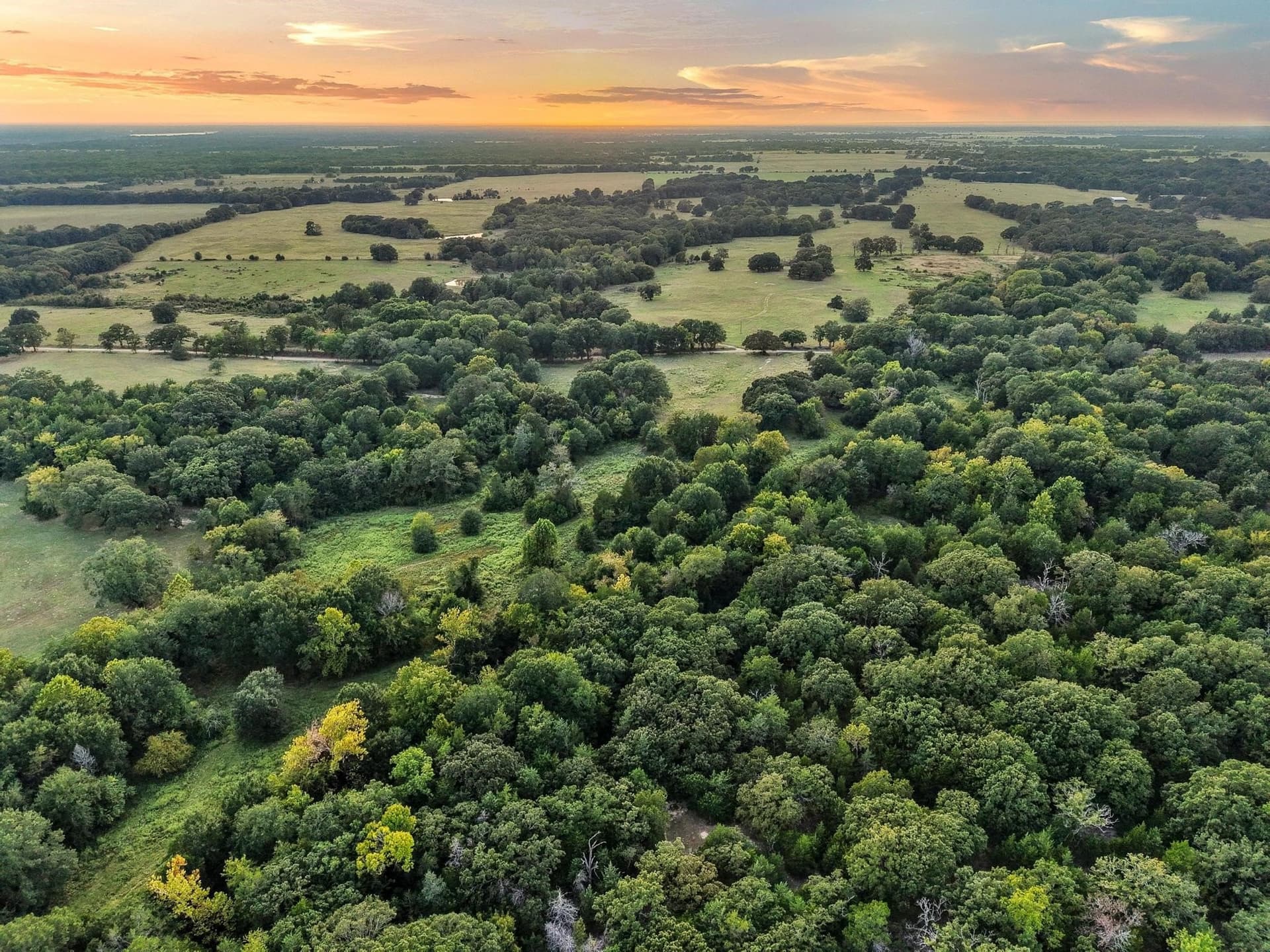 9.67 acres in Fannin County - photo 19