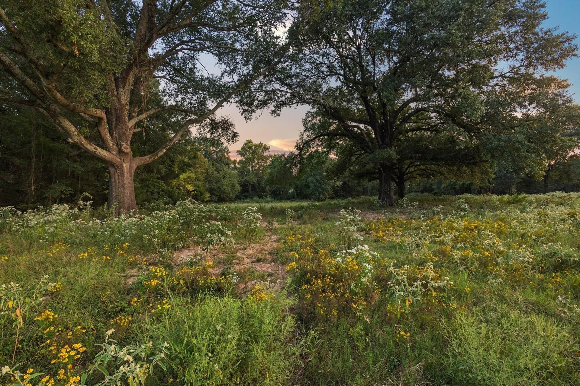 9.67 acres in Fannin County - photo 15