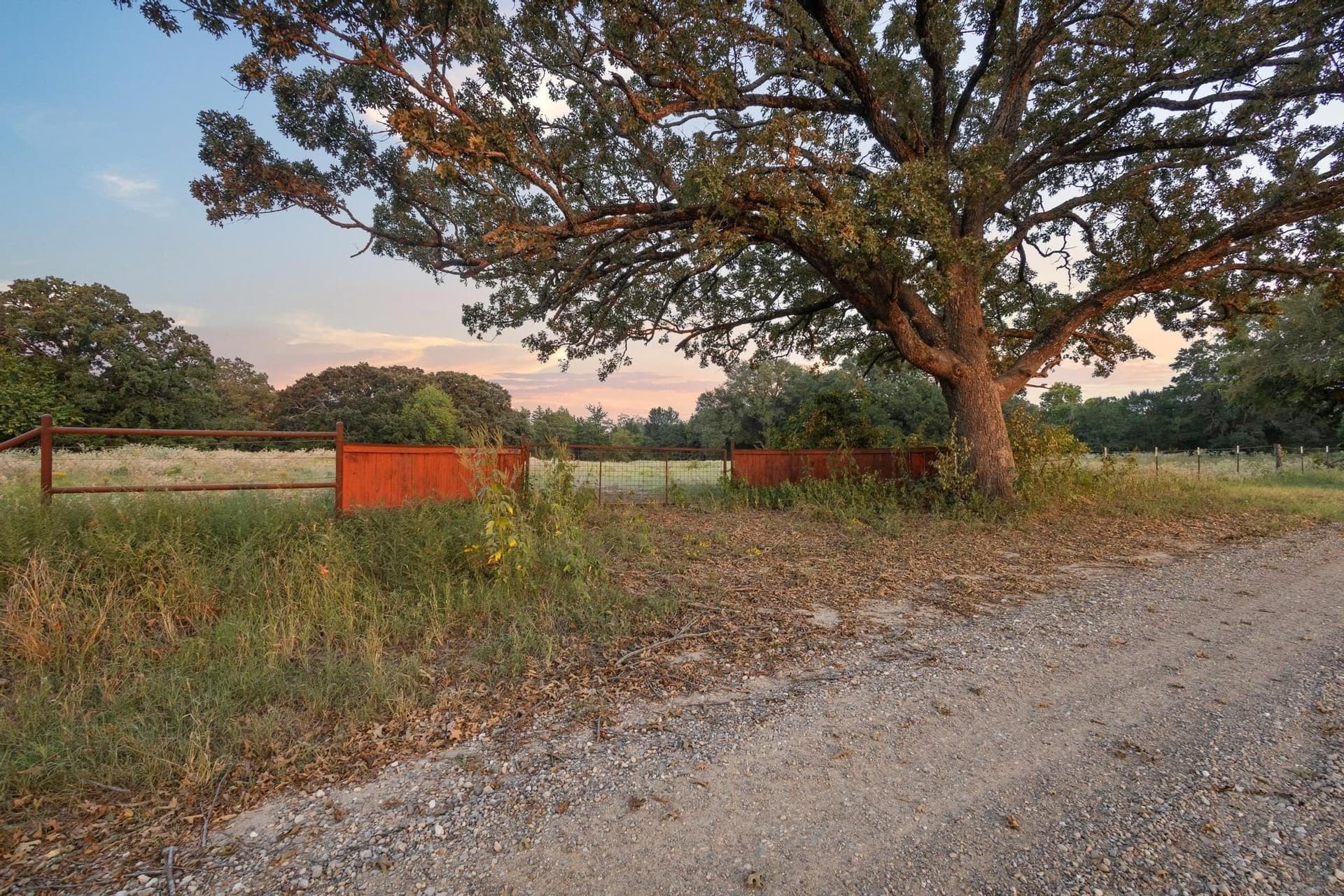 9.67 acres in Fannin County - photo 7