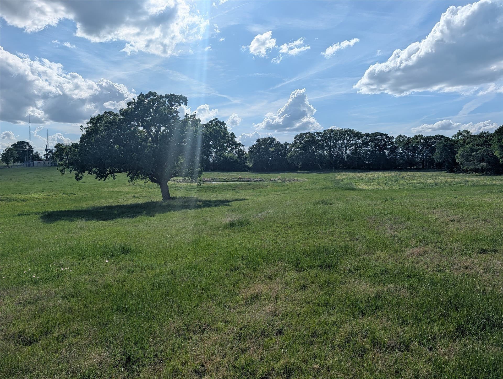 38.83 acres in Kaufman County - photo 36