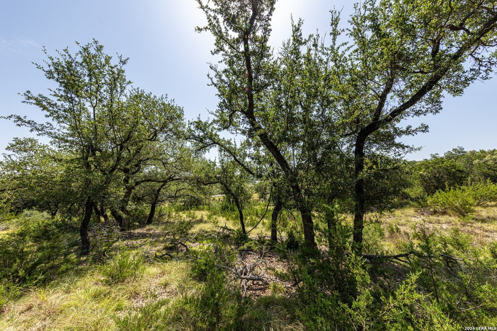 1.84 acres in Comal County - photo 9