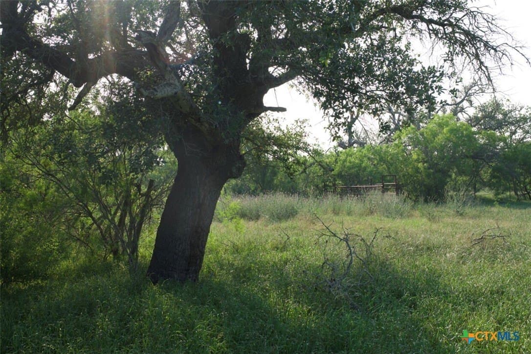 313 acres in Caldwell County gallery image 2