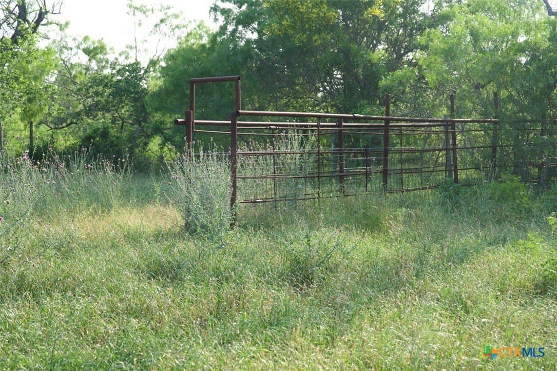 313 acres in Caldwell County featured view