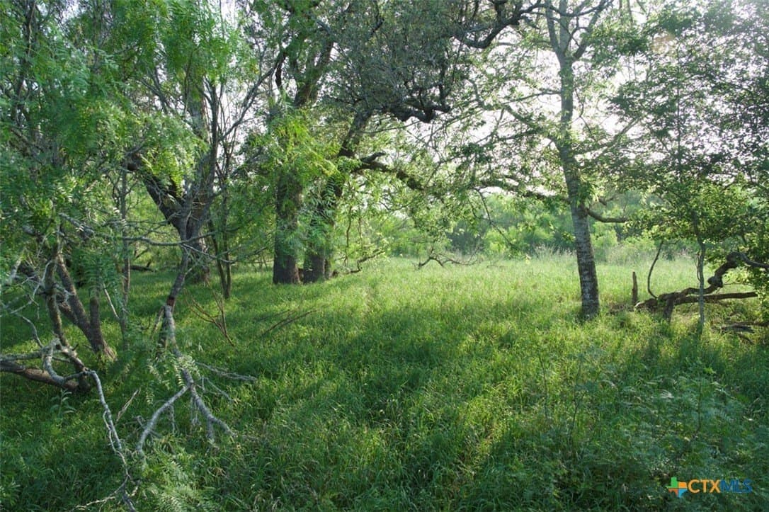 313 acres in Caldwell County gallery image 4